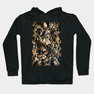 Doulting Pebbles Hoodie